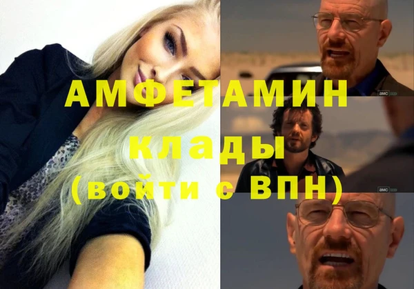 индика Вязьма