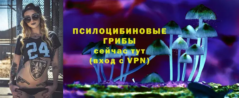 блэк спрут как зайти  Пугачёв  Галлюциногенные грибы мицелий 